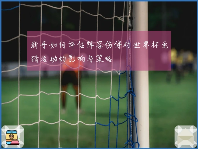 新手如何评估阵容伤停对世界杯竞猜活动的影响与策略