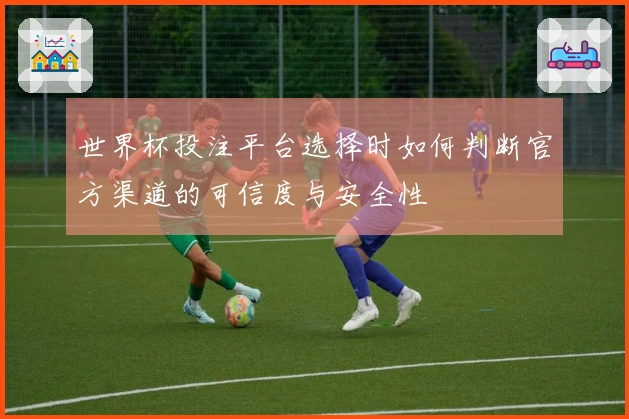 世界杯投注平台选择时如何判断官方渠道的可信度与安全性