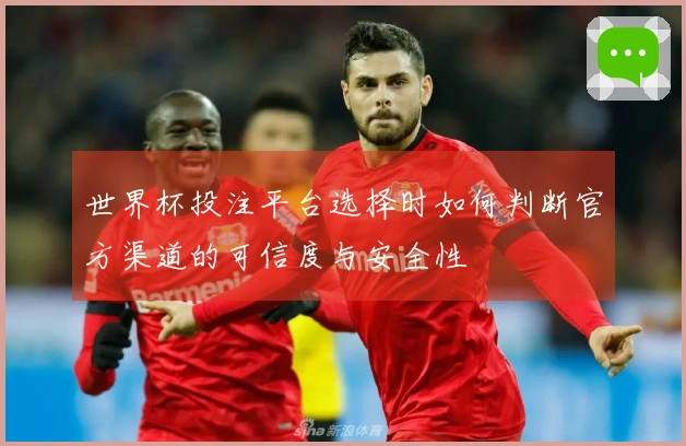 世界杯投注平台选择时如何判断官方渠道的可信度与安全性