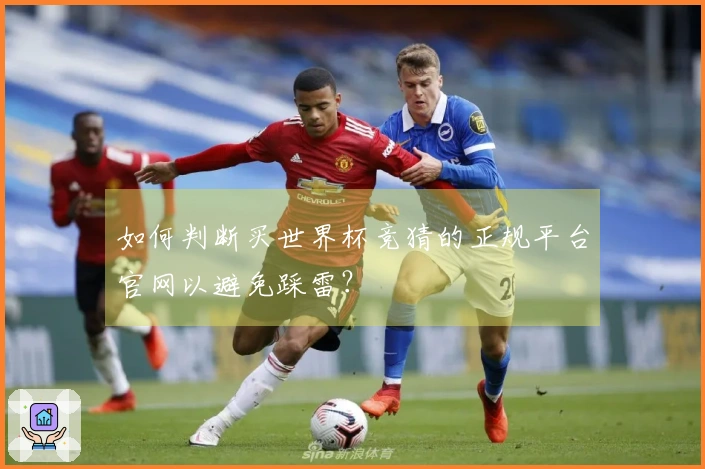 如何判断买世界杯竞猜的正规平台官网以避免踩雷？